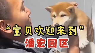 حبيبي، مرحبًا بك في مجمع بان هونغ!