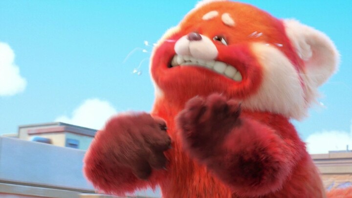 Chỉ cần xúc động mạnh là cô gái biến thành gấu trúc đỏ trong bộ phim mới “Thanh Xuân Biến Hình Ký”!