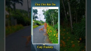 Top Comment - Ảnh Chế Hài Hước, Photoshop MEMES (P11) #shorts