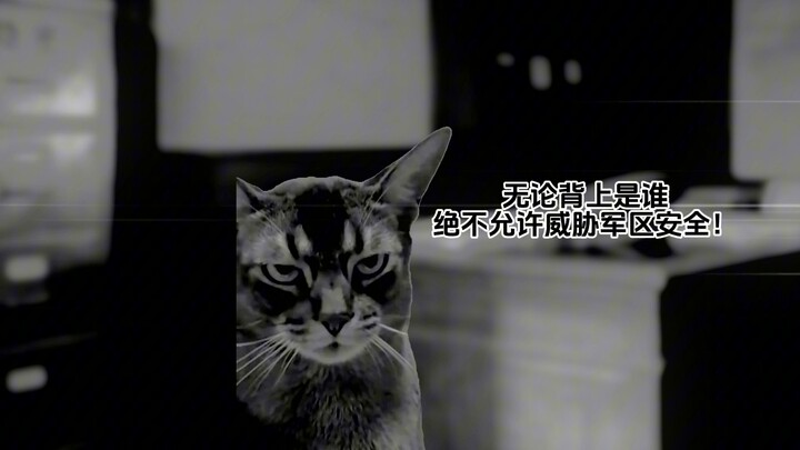 4-Year-Old Cutie Is the King of All Beasts