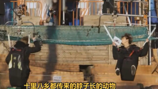 当星星大声说话的时候