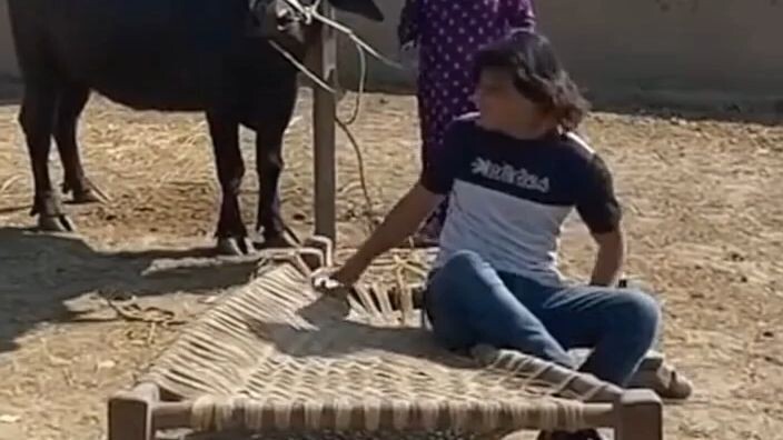 entertainment video