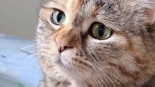 Vậy là không có đồ ăn vào lúc 5 giờ sáng, đúng không?