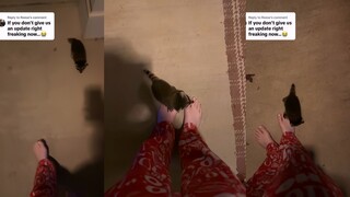 بعد الانتهاء من الاستحمام، جاء خارجًا وحيد قطبي صغير يتعرف على أقاربه! 🦝