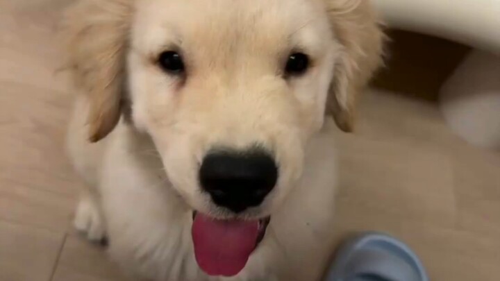 เจี๊ยบจิ๋ว: น่าทึ่งมาก แค่กัดคำเดียวก็มีปากให้กินเลย~