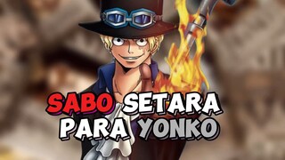 Ternyata Sabo Setara Para Yonko !!!