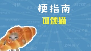 可颂猫是什么梗【梗指南】