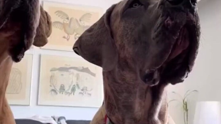 قد تحدث أشياء غير متوقعة