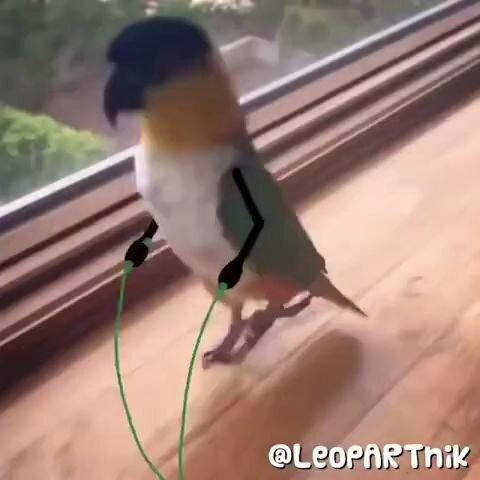 هaha، P تبدو متناغمة تمامًا ولا تُشعر بأي غرابة!