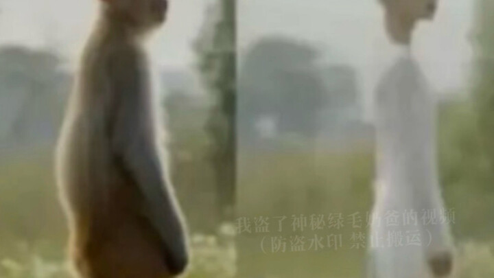 Jin Dong’s figure in winter looks just like a sprout.