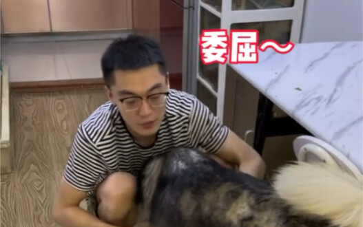 Dad: Why are you looking at me like that? Not-tearing-it-apart: 'Cause I'm a daddy's girl!