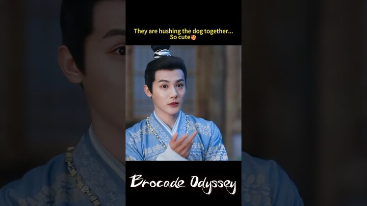 Cute couple!💕| Brocade Odyssey | YOUKU