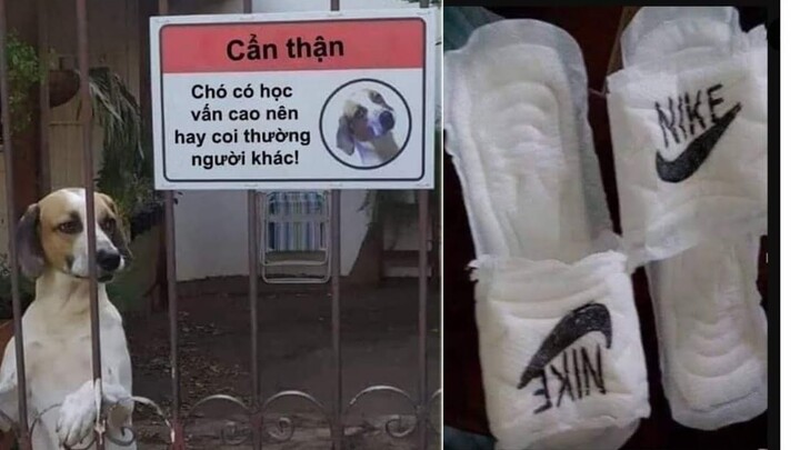 Ảnh chế p255 || đôi dép thần thánh || ĐLT ảnh chế