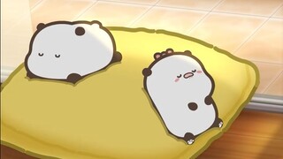 秋意浓浓，瞌睡连连