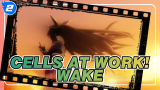 [Cells at Work!/Mixed Edit] Let's Start a Battle (Love) - Wake_2