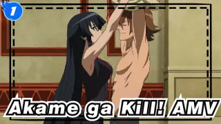 [Akame ga Kill! AMV] Epic / Sad / Hug Akame And Go Away Secretly~_1