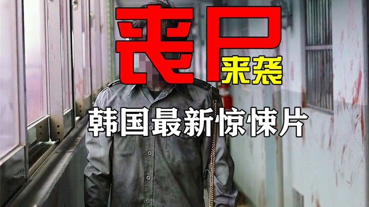 The latest zombie flick is set to ignite this summer—how will humanity fight back against the virus’