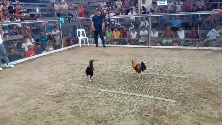 gbs x gilmore naunahan pero mas masakit ang ganti 💪