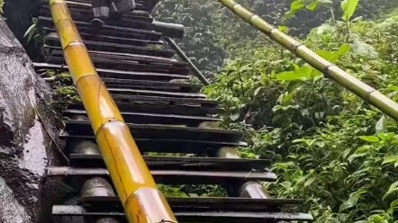 أنيق، أنيق للغاية!