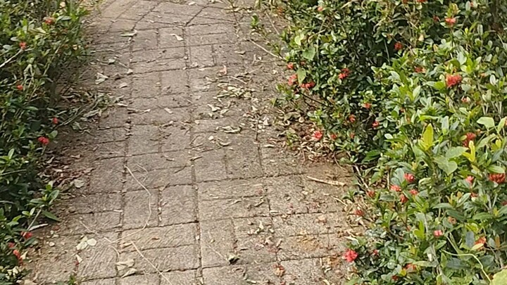 sarap talaga lumanghap Ng sariwang hangin 😍😊