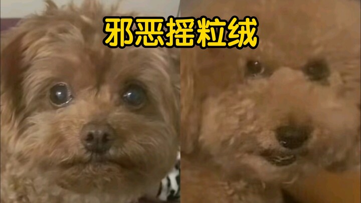 Penampilan mencerminkan baik atau buruk seseorang