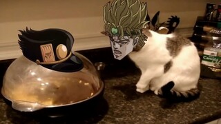 jojo的奇妙冒险 猫猫版2