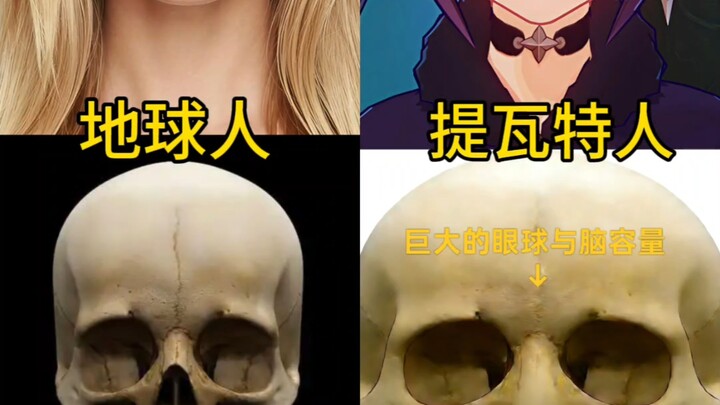 การเปรียบเทียบกะโหลกศีรษะของชาวตีวัตกับชาวโลก