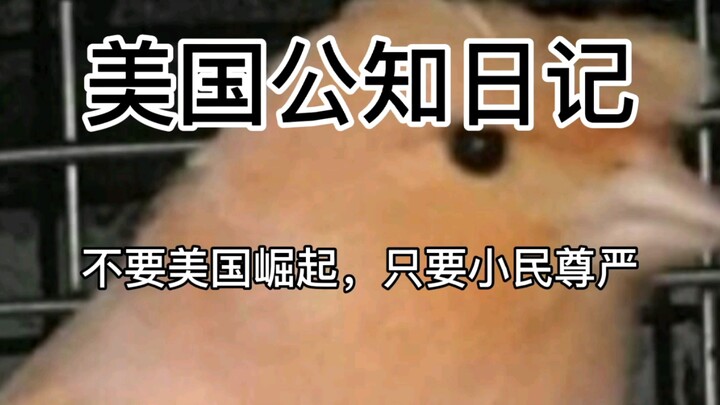 【美国公知日记7】不要美国崛起，只要小民尊严