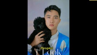 Những thú cưng của EXO | Tính cách của các bé thú cưng đúng là giống idol quá nhỉ