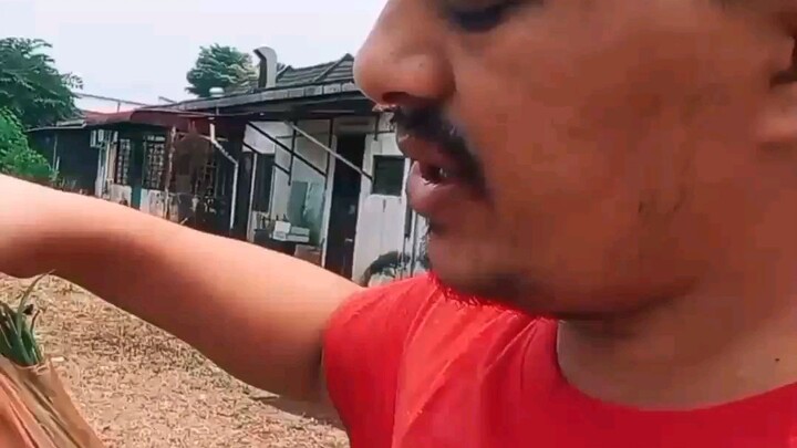 #shopping market video #Malaysiajasin🥰 🥰#onionvideo #marketblog