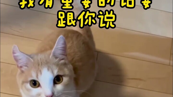 Tôi có chuyện quan trọng cần nói với bạn.