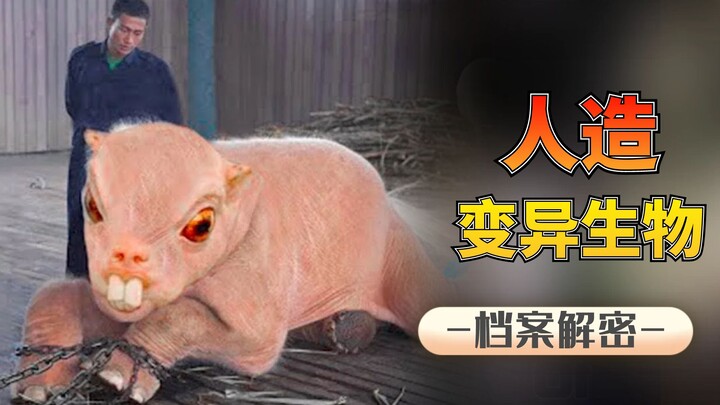 9 Makhluk Buatan Manusia: Parasnya Mengerikan Bak Monster Alien, Tapi Harganya Tembus 400 Ribu!