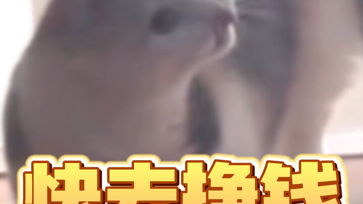 Ketika aku telat masuk kerja, kucingku…