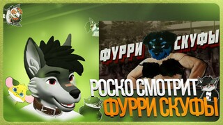 🐺 Роско смотрит 🍀Nava🍀 - ФУРРИ СКУФЫ | КРАТКОЕ ПОСОБИЕ ДЛЯ ФУРИЧЕК И НЕ ТОЛЬКО