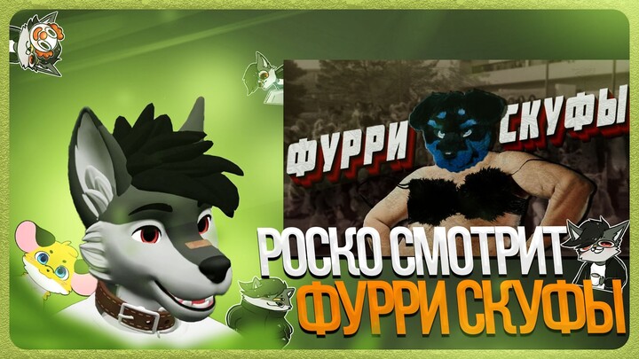 🐺 Роско смотрит 🍀Nava🍀 - ФУРРИ СКУФЫ | КРАТКОЕ ПОСОБИЕ ДЛЯ ФУРИЧЕК И НЕ ТОЛЬКО