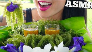 ASMR ซีเกรปกับซอสซีฟู้ด NO TALKING