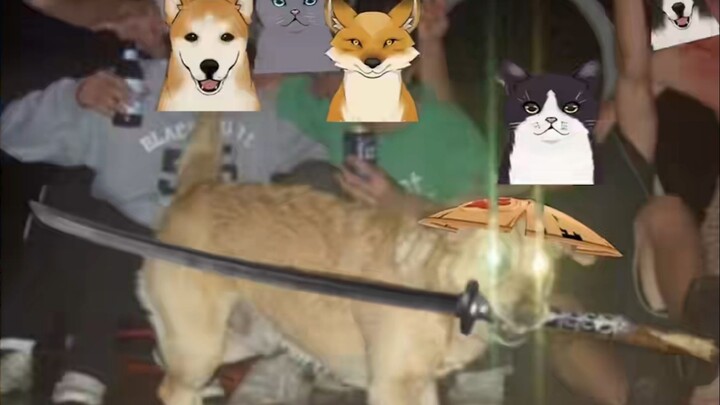 [Game][Genshin] Siapa Bisa Menolak Gemasnya Anjing yang Bermain Pedang