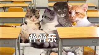 Sự khác biệt giữa nam sinh và nữ sinh trong giờ ra chơi!