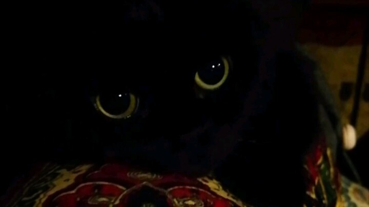 自己来个趴的动作！