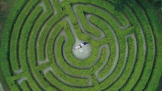 Drone Stock Footage: Maze Toledo