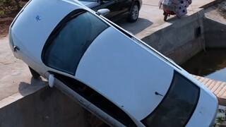 Mobil Hitam: Kakak, kamu terlalu sopan (berpura-pura menjadi babi yang memakan pakan)