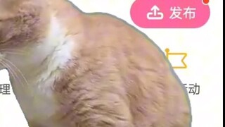 When my parents deleted all my videos