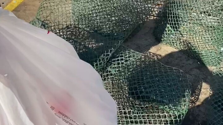 Cara Menjadi Orang yang Kaya Raya Seperti Sebuah Negara