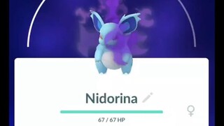 Pokémon GO-Evolving Shadow Nidorina