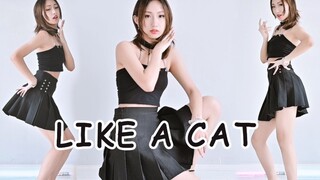 【لا أعرف كيف أغني】AOA-مثل قفزة القطة