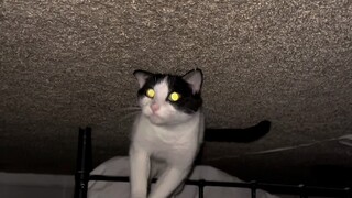 แรงโน้มถ่วงของโลกพลิกกลับอย่างกะทันหัน