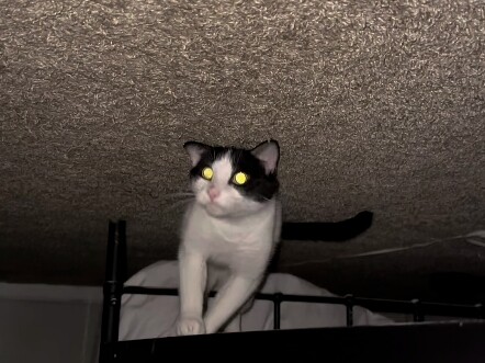 地球重力突然颠倒