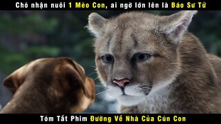 [Review Phim] Cô Chó Vượt 600km Mất 2 Năm Tìm Về Với Chủ | Netflix