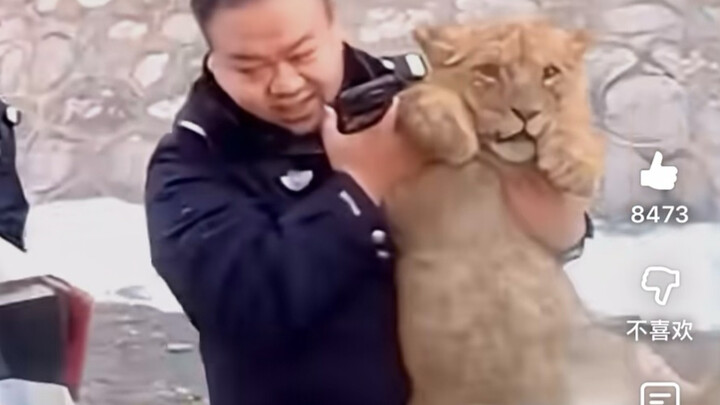 Hot comments from YouTube users: “Uncle Police Finds a Little Lion on the Main Street”