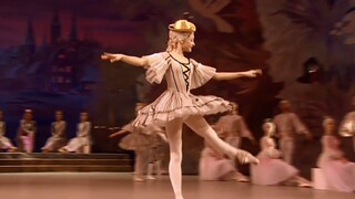 The Nutcracker Ballet Suite - Reed Dance (Simplified Subtitles)